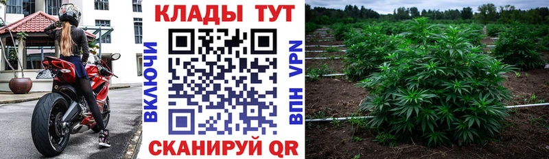 Купить закладку Каннабис A-PVP Меф мяу мяу Кокаин Ипатово