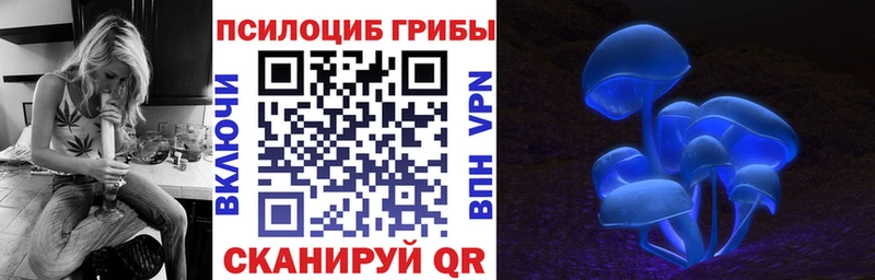 Псилоцибиновые грибы Psilocybe  Купить  Ипатово 